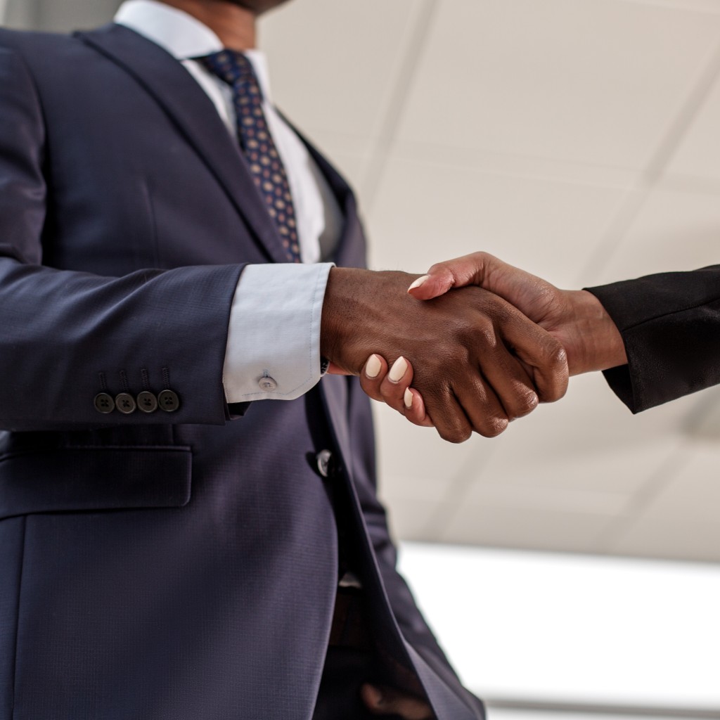 Industry professionals networking